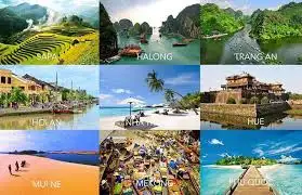 các món ăn làm từ thịt lợn