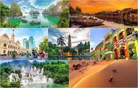 Khám Phá Hương Vị Cà Phê Đặc Sắc Tại Vũng Tàu